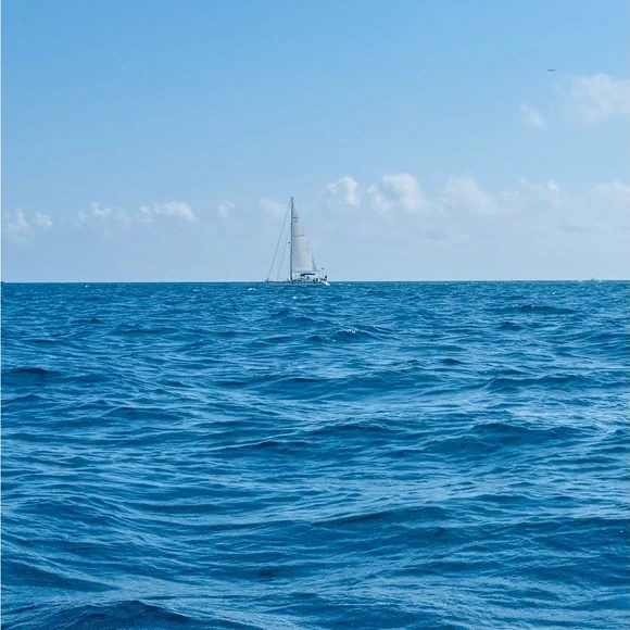 … - Picture 11 of 16